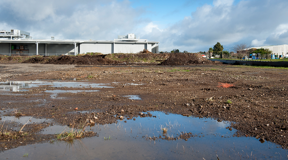 Image two of contaminated land